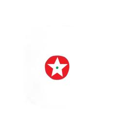 33 revoluções e cinco contos