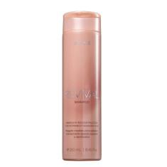 Shampoo Revival Braé 250ml