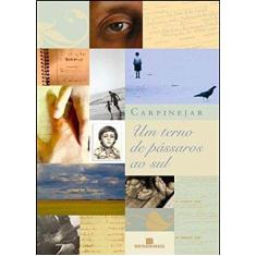 Livro - Um terno de pássaros ao sul