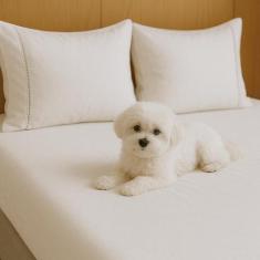 Kit Jogo De Lençol Queen 03 Peças 400 Fios Fronha Ponto Palito - CASA 