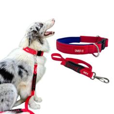 Coleira com Guia para Cachorro - Conjunto Tamanho P - Canadá K9 Acessó