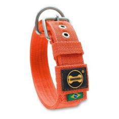 Coleira Cachorro Grande Pit Bull Fit (laranja) - Amorosso, GG, Laranja