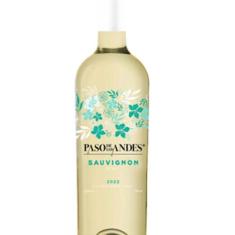 VINHO PASO DE LOS ANDES SAUVIGNON BLANC 750ml Valle Central - FFRR DIS