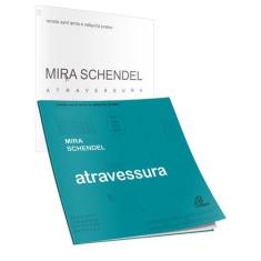 Livro - Mira Schendel: atravessura