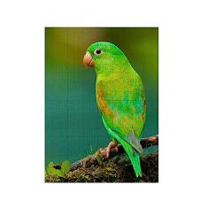 Quebra-Cabeça Ararinha Verde 300 Peças