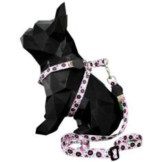 Coleira para cachorro com guia longa 2 metros para passeio modelo peit