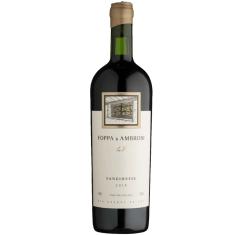 Vinho Tinto Vista dos Platanos Sangiovese 2019 Tenuta Foppa & Ambrosi 750 ml