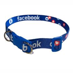 Coleira Exclusiva Leedog Ajustável Para Cachorro, Face, PP