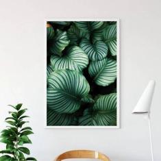 Quadro Decorativo Foto de Folhas 45x34cm - Quadros On-line, A3 (45 x 3