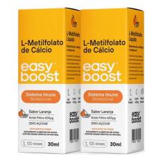 L-metilfolato De Cálcio Easy Boost Ácido Fólico B9 30ml