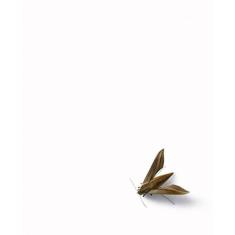 Livro - Efrain Almeida