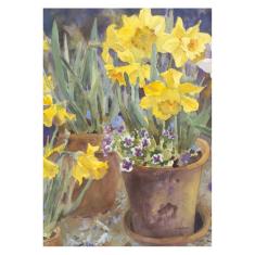 Toland Home Garden Narcisos em vaso 31 x 45 cm Bandeira decorativa primavera verão flor amarela jardim