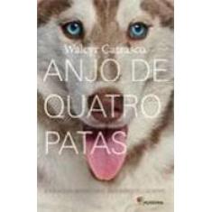Livro - Anjo de quatro patas