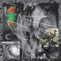 Afterlife [Disco de Vinil]