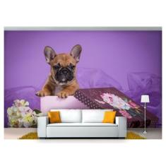 Papel De Parede Animais Cachorro Presente 3D Anm147 - Você Decora
