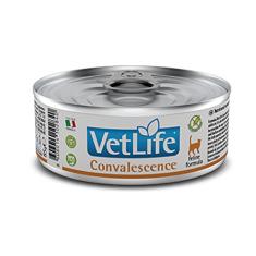 Vet Life Convalescença Ração Úmida Para Gato