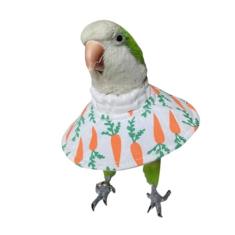 Coleiras elisabetanas anti-mordida de papagaio de estimação, antiagarrar, arrancar penas, cicatrização, segurança, recuperação de feridas, cones para periquito periquito Lovebird Conure Fischer