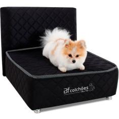 Cama Box Pet Cabeceira Cachorro e Gato - Caminha Pet - BF Colchões, PR