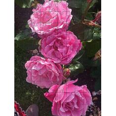 Quebra-Cabeça 24 peças atividades para Idosos Peças grandes 4un