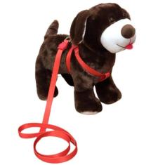 Coleira Peitoral Para Cachorro - Laranja Nº 4