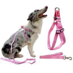 Coleira Peitoral com Regulagem Traseira G + Guia para Cachorro - Canad