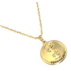 Colar Cordão Profissão Medalha Odontologia Folheado 18k