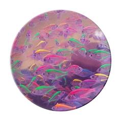 Prato decorativo de porcelana Salver Salver de peixe oceano ciência natureza