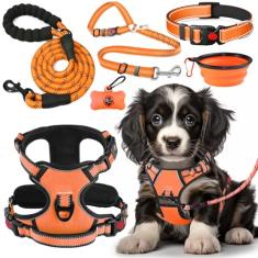 LOBEVE Conjunto de arnês, coleira e coleira para cães sem puxar | inclui cinto de segurança para cães, tigelas dobráveis e dispensador de saco de cocô. Ideal para treinamento, caminhada, caminhada.
