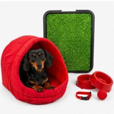 Kit Cama Toca Iglu Médio Pet Sanitário Grama Comedouro Coleira Bolinha