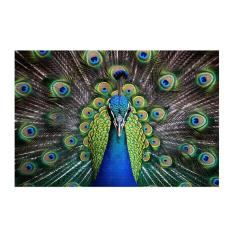 Quebra-Cabeça Majestoso Pavão 300 peças