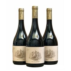 Vinho Las Perdices Reserva Bonarda | Kit com 3 Garrafas | Oferta