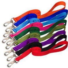 Guia Longa 5 mts Adestramento E Passeio De Cães - dedcases, Azul