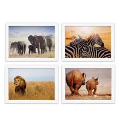 Quadros Animais Safari para Sala Moldura Branca 22x32cm 4un - Quartinh