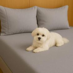 Kit Jogo De Lençol Queen 03 Peças 400 Fios Fronha Ponto Palito - CASA 