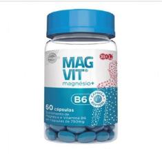 Cloreto De Magnésio Pa Magvit + Vitamina B6 60 Cápsula 750Mg
