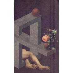 Livro - Um bárbaro no jardim