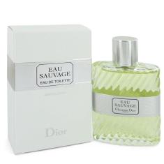 Perfume Masculino Sauvage Christian Dior 100 Ml Eau De Toilette