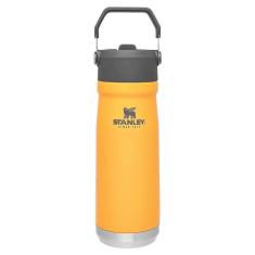 Garrafa Térmica Stanley Flip Straw 651ml-Unissex