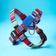 Coleira Peitoral Ajustável em X Raios e Listras Azul - M