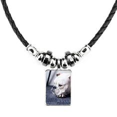 DIYthinker Colar de animais de estimação com imagem cinza joia com pingente de corda de couro