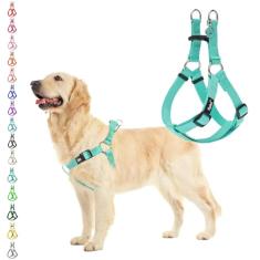 PUPTECK Peitoral para cães, macio, ajustável, básico, de nylon, para passear ao ar livre com etiqueta de identificação