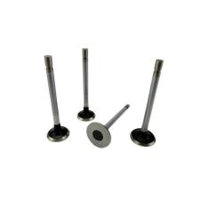Jogo Válvulas De Escape Renault Master 2.5 16V