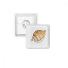 Kit de atualização para jogos PBT teclado mecânico com ilustração colorida de caracol marinha