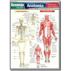 Resumao Escolar - Anatomia -
