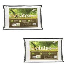 Kit 2 Travesseiro Evolatex Alto - Fibrasca