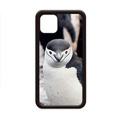 Capa para celular Apple Mobile com pinguim de animal selvagem de organismo terrestre para iPhone 11 Pro Max