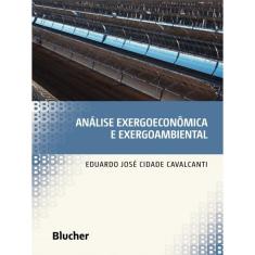 Análise Exergoeconômica E Exergoambiental