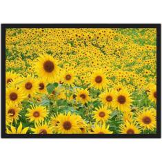 Quadro Decorativo Flores Girassóis Paisagem Natureza Decorações Com Mo