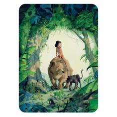 Livro - O Livro da Selva