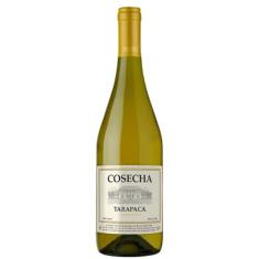 Vinho Tarapacá Cosecha Chardonnay Branco 750ml